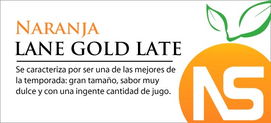 Lane Gold Late